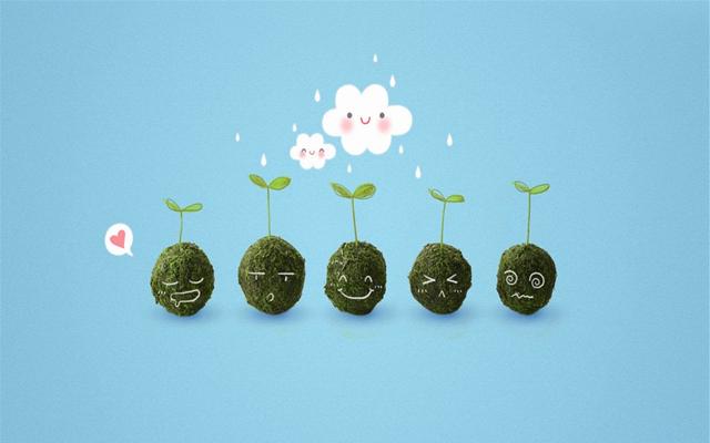 爱情所需要实现的是真，是能够拥有一个互相宽亮的心