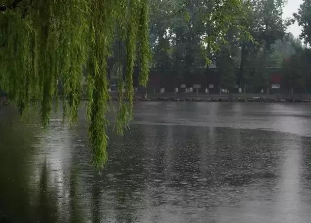 美文：雨中即景