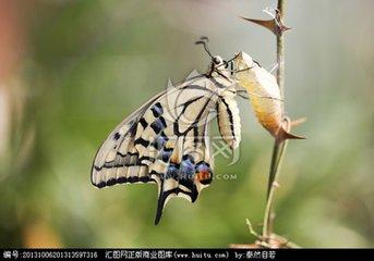 蜕变（好文）
