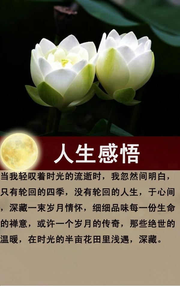 时光：相遇秋思浅，落花静流年（说得真好！）