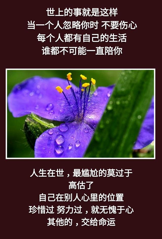 不是你的别去强求！离去的，都是风景；留下的，才是人生