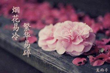 伶 仃（好文）