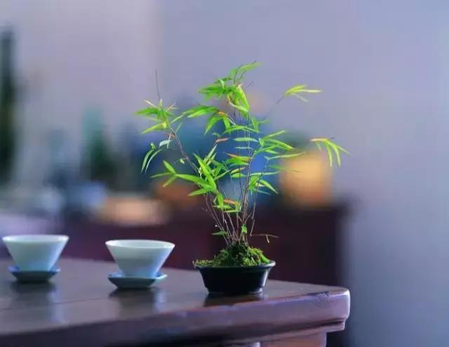 用自己喜欢的方式度过一生
