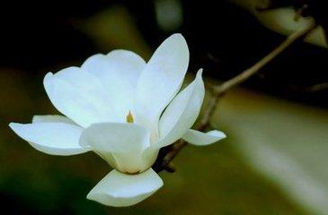 离 别（好文）