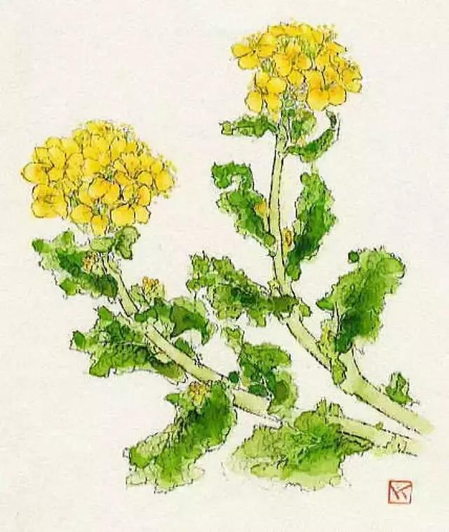 最是无奈是中年