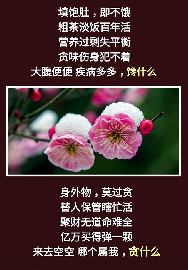 人生：一不急，二不比，三不怕，四不逆，五不馋，六不妒，七不悔