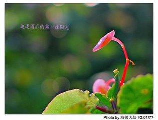珍惜自己的华年（美文）