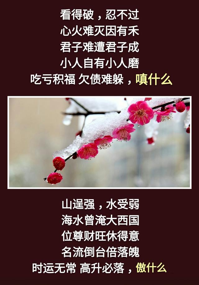 人生：一不急，二不比，三不怕，四不逆，五不馋，六不妒，七不悔