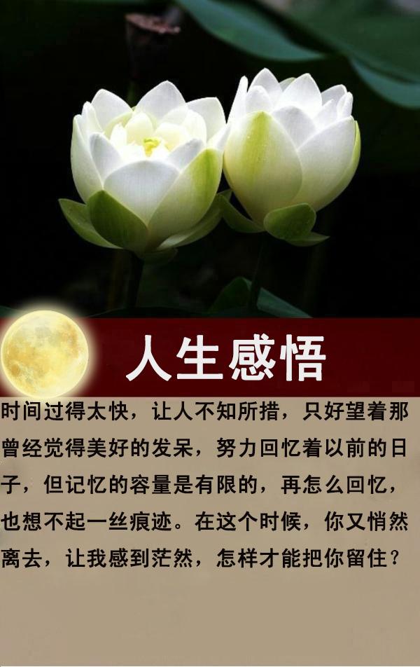 时光：相遇秋思浅，落花静流年（说得真好）