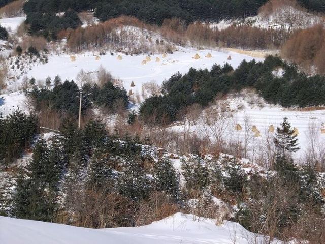 美文：日子极浅，却别有况味