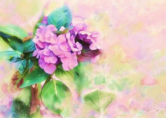 文字，芬芳了流年，灿烂了时光，丰富了生命