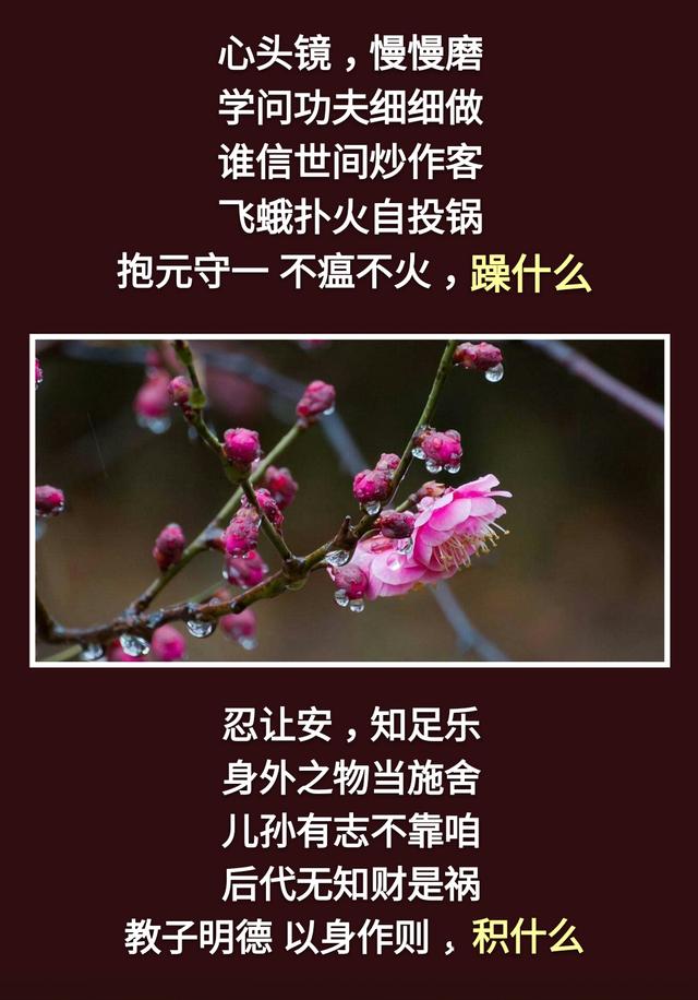 人生：一不急，二不比，三不怕，四不逆，五不馋，六不妒，七不悔