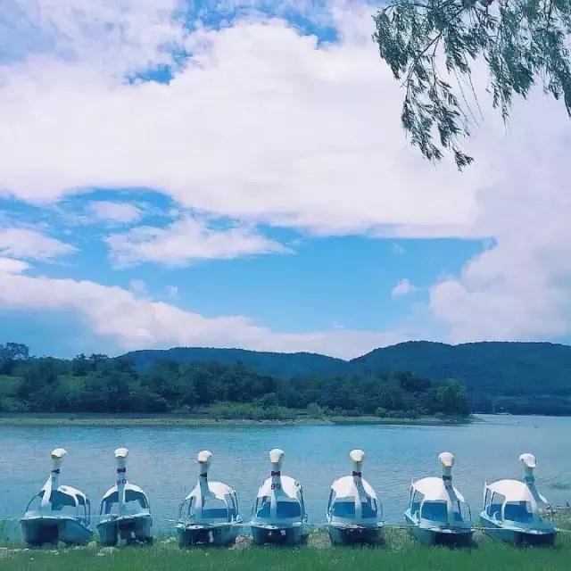 突然没有期待 也欣喜不起来