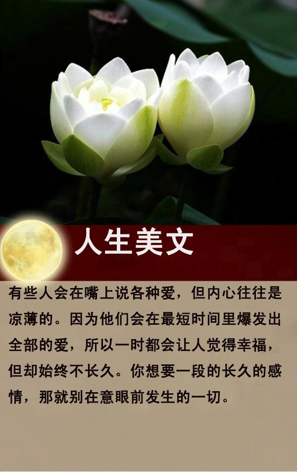 那摧枯拉朽的爱，那繁花似锦的毁灭