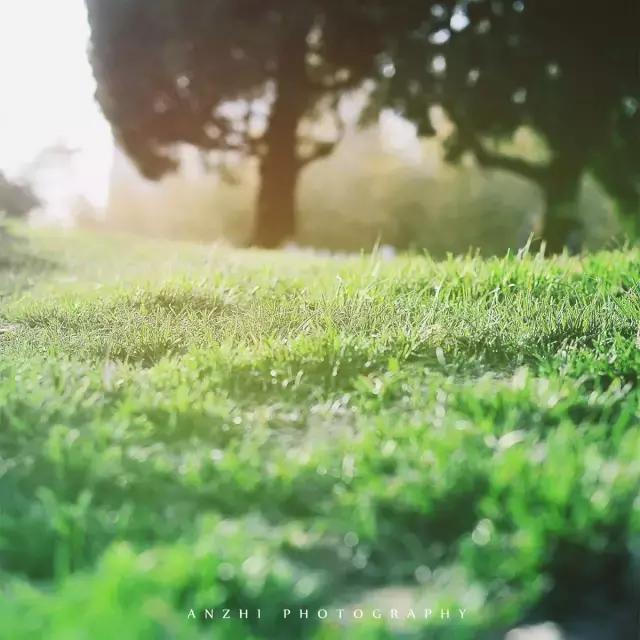 比坚持更难的，是放弃