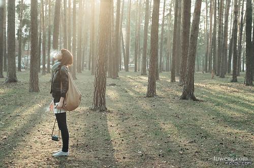带首情歌旅行