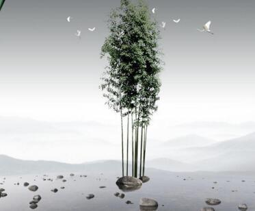 “人到中年，三不挑四不尽”说的真好