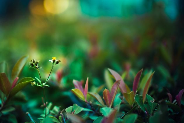 正能量晚安心语简短一句话说说心情短语