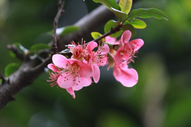 正能量晚安心语简短一句话说说心情短语