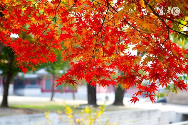 别把婆婆当成妈，婆婆永远不是妈！