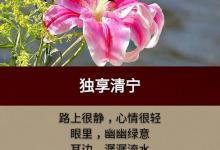 人，想多了，遭罪；心，装多了，崩溃；情，握紧了，会累