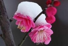 生活这场表演，需要百遍练习