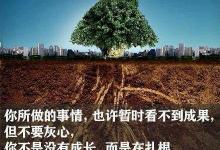 人生最重要的不是成熟、而是成长