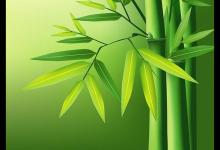 遇到不听话的下属怎么办？用这八招就能搞定