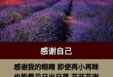 看一看比一比，我在中间也可以；眼一睁眼一闭，人生如梦睡过去