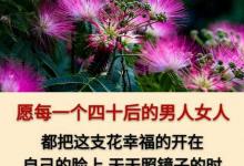 四十的你：最累，最烦，压力更大，责任更重