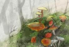 生活，简单也是幸福