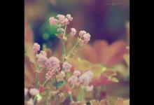 濮存昕：花甲之惑（深刻）
