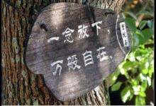 人这一生，你要受到哪些伤害，就应该明白哪些道理