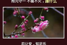 人生：一不急，二不比，三不怕，四不逆，五不馋，六不妒，七不悔