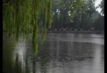 美文：雨中即景