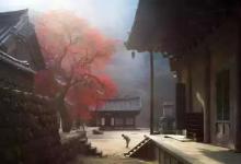 药引子
