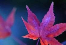 爱情说说长段子大全