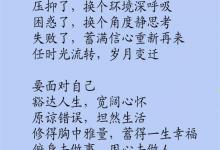 没有烦恼，不算人生（说的太好了）
